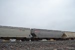 FXE 714134
